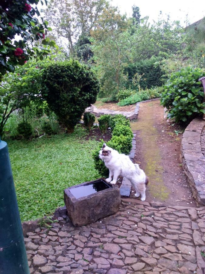 Casa Rosa Villa Camacha  Bagian luar foto